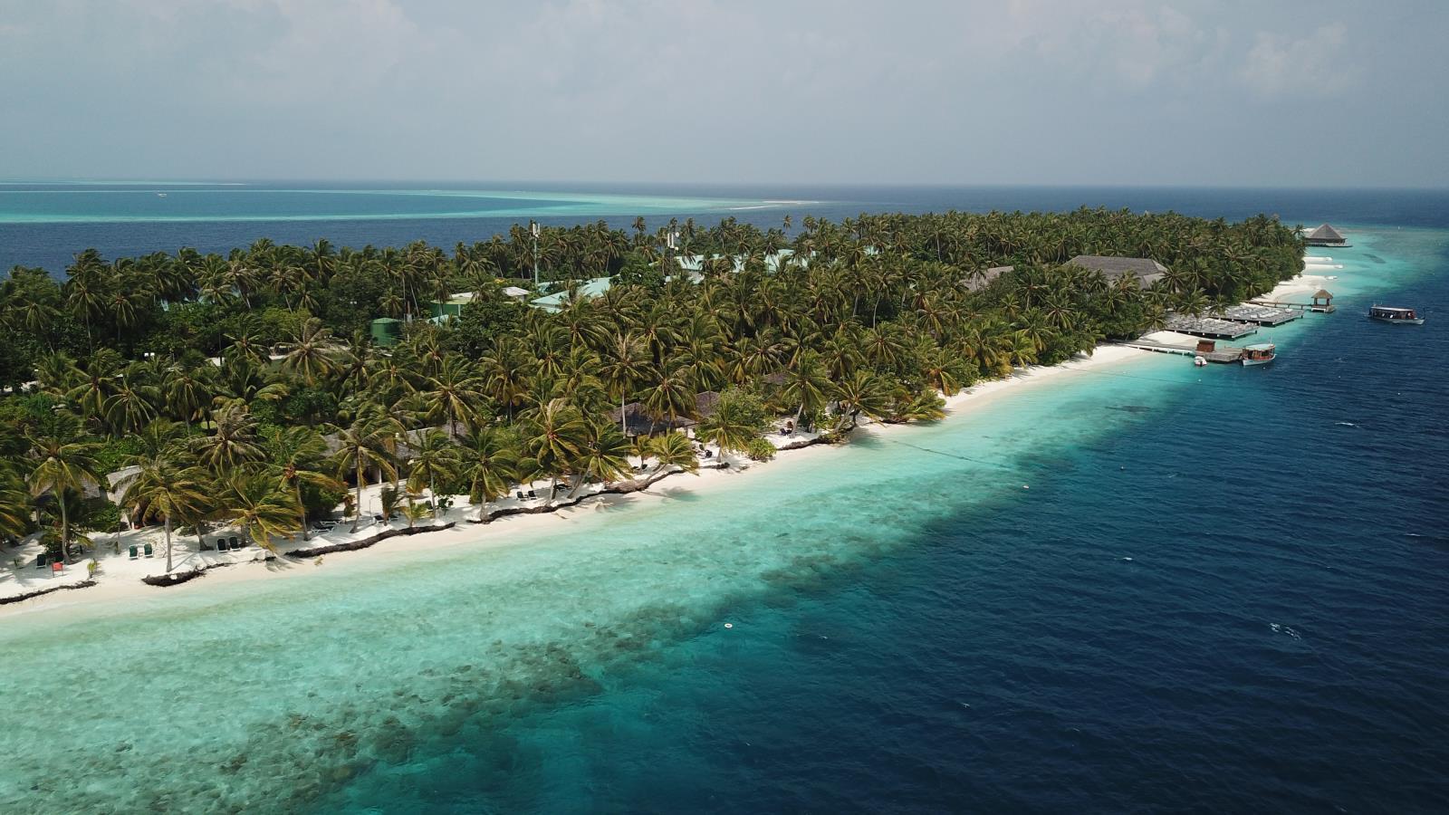 malediven_tauchen_tauchreisen_sued_ari_atoll_vilamendhoo_10